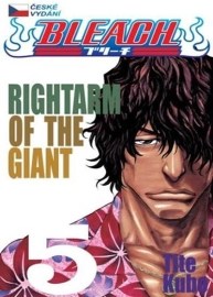 Bleach 5