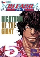 Bleach 5 - cena, srovnání