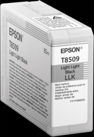 Epson C13T850900
