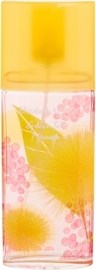 Elizabeth Arden Green Tea Mimosa 100ml