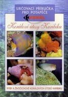 Korálové útesy Karibiku - cena, srovnání