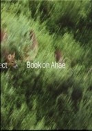 Book on Ahae - cena, srovnání