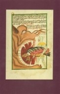 The Jena Codex - cena, srovnání