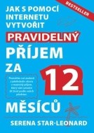 Jak s pomocí internetu vytvořit pravidelný příjem za 12 měsíců - cena, srovnání