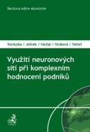 Využití neuronových sítí při komplexním hodnocení podniků - cena, srovnání