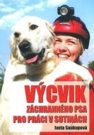 Výcvik záchranného psa pro práci v sutinách - cena, srovnání