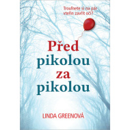 Před pikolou za pikolou - cena, srovnání
