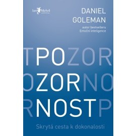 Pozornost