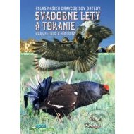 Svadobné lety a tokanie - cena, srovnání
