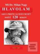Hlavolam 120 - cena, srovnání