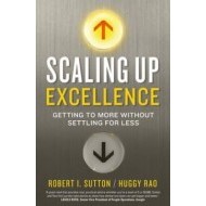 Scaling up Excellence - cena, srovnání