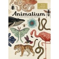 Animalium - cena, srovnání