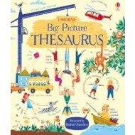 Big Picture Thesaurus - cena, srovnání