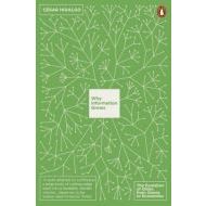 Why Information Grows - cena, srovnání