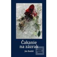 Čakanie na zázrak - cena, srovnání