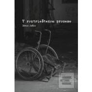 V roztrieštenom procese - cena, srovnání