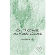 Co vítr odvane, ale v srdci zůstane - cena, srovnání