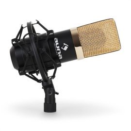 Auna MIC-900BG