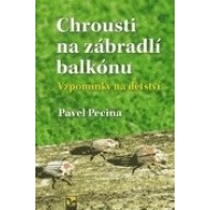 Chrousti na zábradlí balkónu - cena, srovnání
