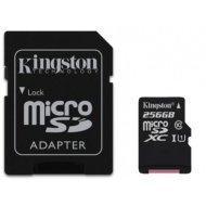 Kingston Micro SDXC Class 10 256GB - cena, srovnání