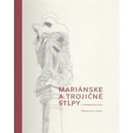 Mariánske a trojičné stĺpy v premenách času - cena, srovnání