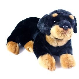 Rappa Rottweiler ležící