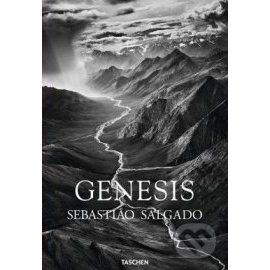 Genesis Salgado