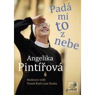 Pintířová Angelika - Padá mi to z nebe - cena, srovnání