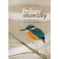 Prchavé okamžiky