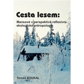 Cesta lesem