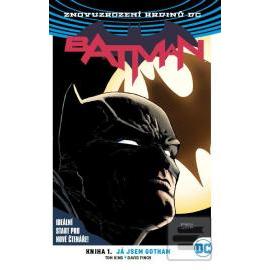 Batman: Kniha 1. Já jsem Gotham (brož.)