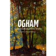 Ogham - cena, srovnání