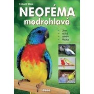 Neoféma modrohlavá - cena, srovnání