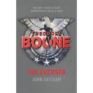 Theodore Boone The Accused - cena, srovnání