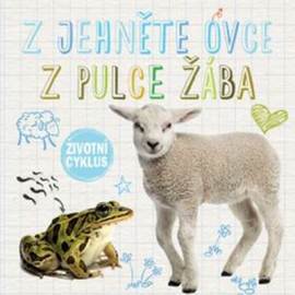 Z jehněte ovce Z pulce žába