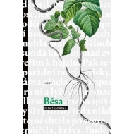 Běsa - cena, srovnání