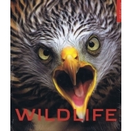 Wildlife - cena, srovnání