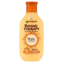 Garnier Botanic Therapy Honey 250ml