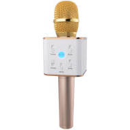 Eljet Karaoke Mikrofón Performance zlatý - cena, srovnání
