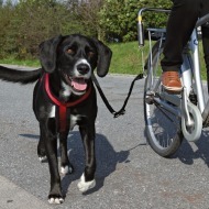 Trixie Vodiaci set na bicykel 1ks - cena, srovnání