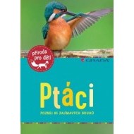 Ptáci - cena, srovnání