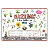 Súbor 24 kariet - kvetiny - cena, srovnání