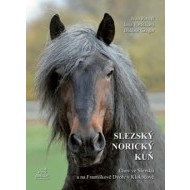 Slezský norický kůň - cena, srovnání