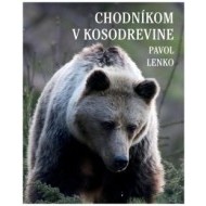 Chodníkom v kosodrevine - cena, srovnání