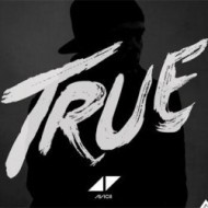 Avicii - True LP - cena, srovnání