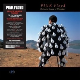 Pink Floyd - Delicate Sound Of Thunder 2LP