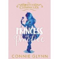 Princess in Practice - cena, srovnání