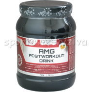 Nutristar AMG Postworkout 750g - cena, srovnání