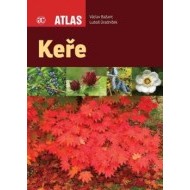 Keře - Atlas - cena, srovnání