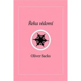 Řeka vědomí